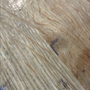 Meet your Posher, Kevin